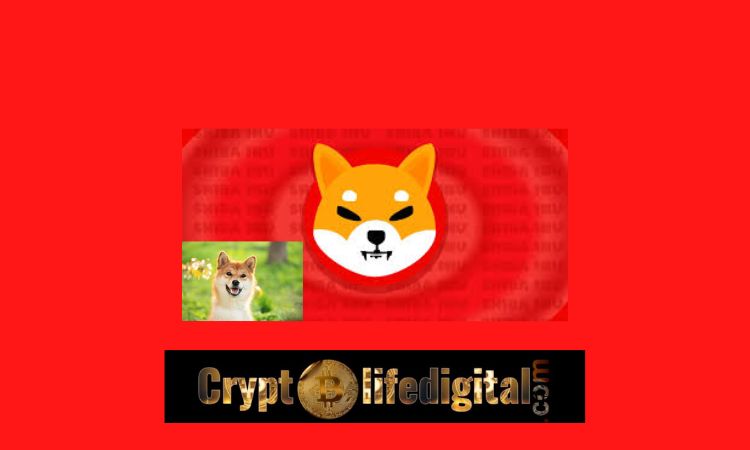 https://cryptolifedigital.com/wp-content/uploads/2022/11/Shiba-Inu-Community-Burns-223.26M-In-A-Week-22.06M-In-The-Past-24-Hours.jpg