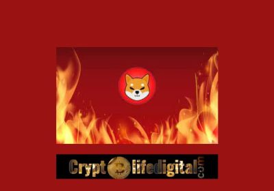 Shiba Inu Community Burns Almost 1 Billion SHIB In October, SHIB Currently Tops The List Among The 1000 Biggest ETH Whales