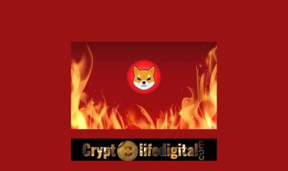 Shiba Inu Community Burns Almost 1 Billion SHIB In October, SHIB Currently Tops The List Among The 1000 Biggest ETH Whales