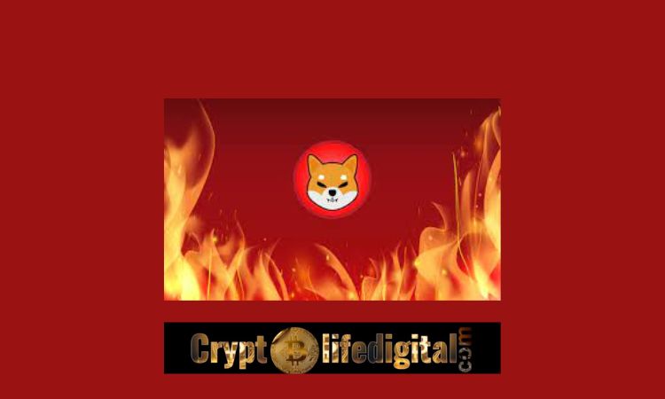 https://cryptolifedigital.com/wp-content/uploads/2022/11/Shiba-Inu-Community-Burns.jpg