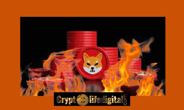 https://cryptolifedigital.com/wp-content/uploads/2022/11/Shibburn.com-Burns-A-Whopping-134.95-million-SHIB-Burn-Rate-Spikes-1069.26-Over-The-24-Hours.jpg