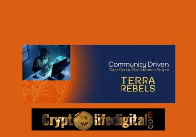 Terra Rebel Sounds A Note Of Warning To The Terra Classic Investors Of fraudulent Token: Check It out