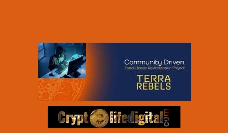 Terra Rebel Sounds A Note Of Warning To The Terra Classic Investors Of fraudulent Token: Check It out