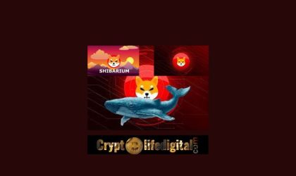 Top ETH Whale Buys A Whopping 133.53 Billion SHIB, Shibtoken Follows Shibarium’s Blockchain Twitter Handle.