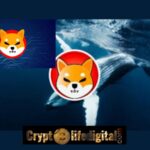 https://cryptolifedigital.com/wp-content/uploads/2022/11/Two-Whales-Acquire-A-whopping-Over-1.72T-Worth-15.60-Million-Following-The-World-Economic-Invitation-SHIB-Price-Spikes.jpg