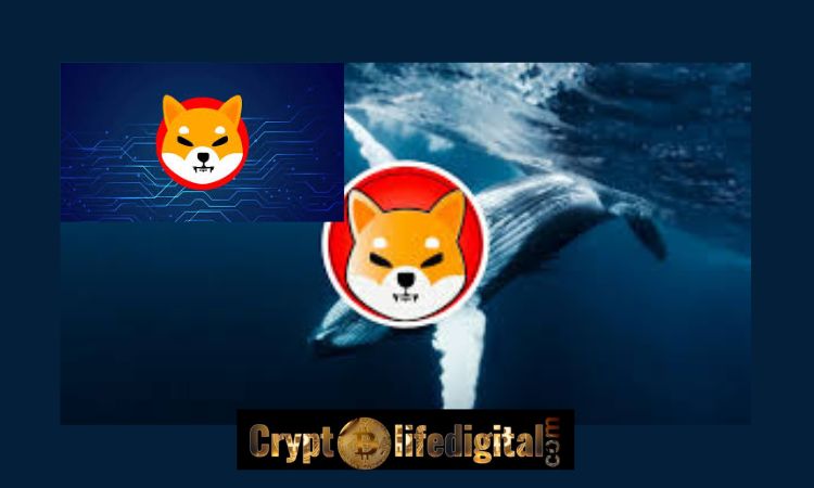 https://cryptolifedigital.com/wp-content/uploads/2022/11/Two-Whales-Acquire-A-whopping-Over-1.72T-Worth-15.60-Million-Following-The-World-Economic-Invitation-SHIB-Price-Spikes.jpg