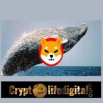 https://cryptolifedigital.com/wp-content/uploads/2022/11/Two-Whales-Buy-A-Whooping-531.65B-Worth-4.83-Billion-In-Two-Transactions.jpg