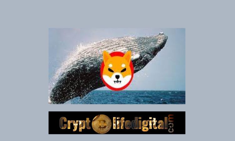 https://cryptolifedigital.com/wp-content/uploads/2022/11/Two-Whales-Buy-A-Whooping-531.65B-Worth-4.83-Billion-In-Two-Transactions.jpg
