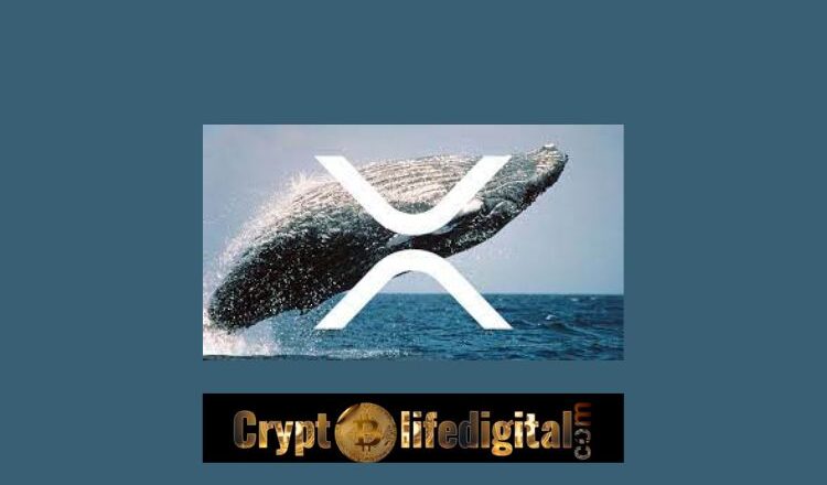 Unknown Whales Move A Whopping 492.94 million XRP In The Past 24 Hours, Ripple Gets More Support From Platforms Against SEC