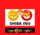 Whale Purchases A Whopping 205.81 Billion SHIB Making The Total Whales’ Holding To Be 2.83 Trillion