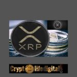 Whales Move Over 187 Million XRP, Ripple Transfer 100,000,000 XRP Tokens