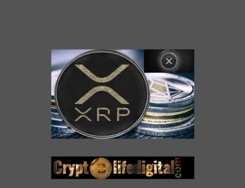 Whales Move Over 187 Million XRP, Ripple Transfer 100,000,000 XRP Tokens