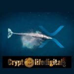 https://cryptolifedigital.com/wp-content/uploads/2022/11/Whales-Move-Over-421.1M-Worth-168.4-Million-Between-Unknown-Wallets-And-Bitstamp.jpg