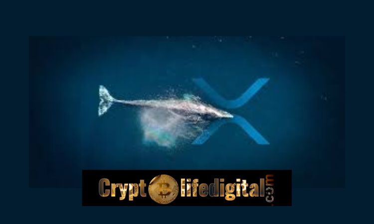 https://cryptolifedigital.com/wp-content/uploads/2022/11/Whales-Move-Over-421.1M-Worth-168.4-Million-Between-Unknown-Wallets-And-Bitstamp.jpg