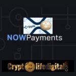 https://cryptolifedigital.com/wp-content/uploads/2022/12/Employers-Can-Now-Pay-Salaries-In-XRP.jpg