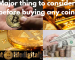 Major Things To Consider Before Buying Any Coin