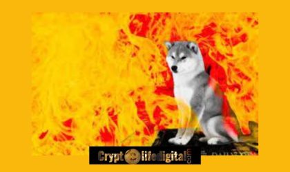 Shiba Inu Burn Rate Spikes 642.63% As Over 27 Million SHIB Is Burnt