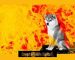 Shiba Inu Burn Rate Spikes 642.63% As Over 27 Million SHIB Is Burnt