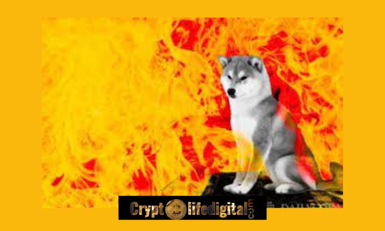https://cryptolifedigital.com/wp-content/uploads/2022/12/Over-27-Million-Is-Burnt-Resulting-To-Shiba-Inu-Burn-Rate-Spike.jpg