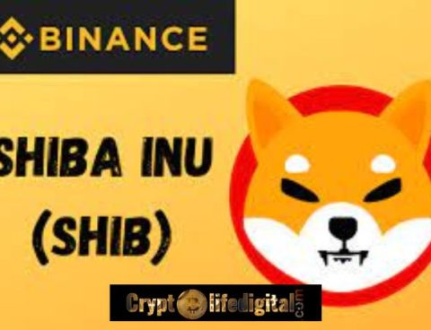 Shiba Inu And Crypto Investors Can Now Buy Crypto Assets Using Google Pay And Apple Pay On Binance