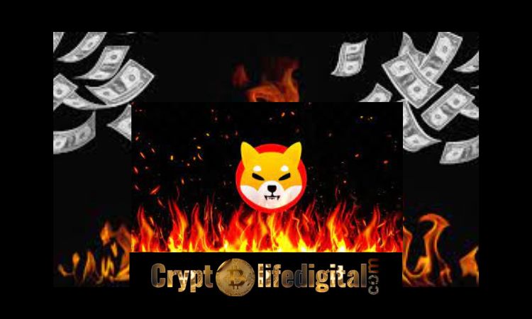 https://cryptolifedigital.com/wp-content/uploads/2022/12/Shiba-Inu-Community-Burns-Over-666.90M-Shiba-Inu-In-the-Past-30-Days..jpg