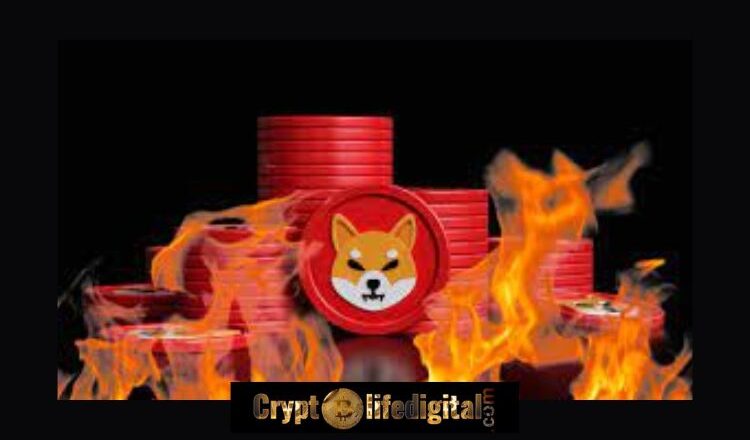 Shiba Inu’s Rate Spikes Over 29000% As Shiba Inu Burns Over 302.50M SHIB In The Last 24 Hours