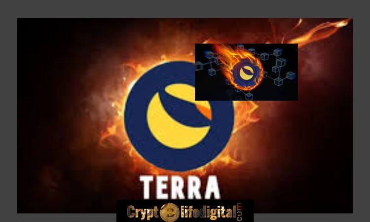 Terra Classic Community Burns Over 5.6 Million LUNC, 5.4M In A Single Transaction