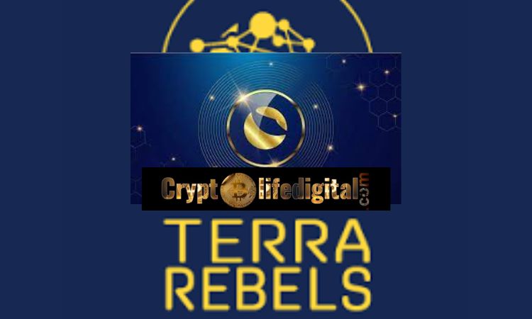 Terra Classic Developers Cease Support For Terra Station To Manage The Rebel Station