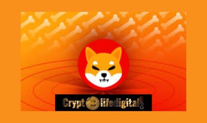 Top Developer Updates Community Of Shiba Inu On The Entire Ecosystem, SHIB Community Takes It For Shibarium