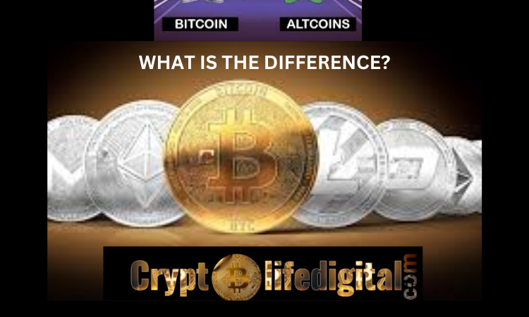 https://cryptolifedigital.com/wp-content/uploads/2022/12/WHAT-IS-THE-DIFFERENCE.png