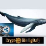 https://cryptolifedigital.com/wp-content/uploads/2022/12/Whales-Withdraw-Massive-150-Million-XRP-Tokens.jpg