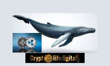 Whales Withdraw Massive 150 Million XRP Tokens From Binance. What Does This Suggest?