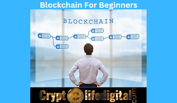 3 Useful Courses In Blockchain For Beginners