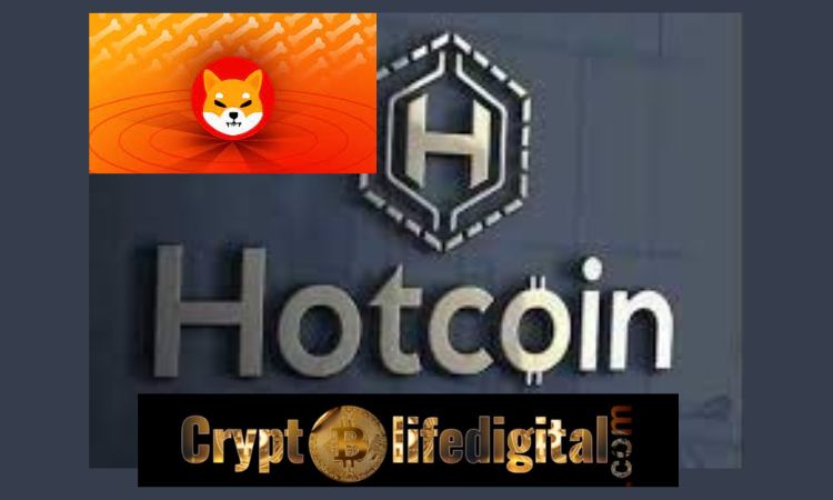 https://cryptolifedigital.com/wp-content/uploads/2023/01/Hotcoin-Global-Partners-With-Simplex-To-Enable-Support-On-Shiba-Inu-And-A-Few-Other-Crypto.jpg
