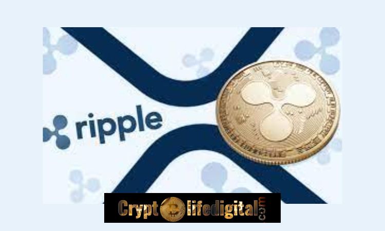 https://cryptolifedigital.com/wp-content/uploads/2023/01/Santiment-Declares-XRP-As-The-Crypto-Pick-For-January.-Heres-Why.jpg