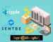 SentBe, Ripple’s Partner, Launches An International Money Transfer Service In United State.