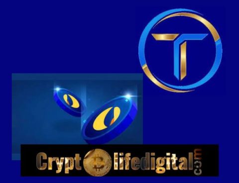 TerraCVita’s Project, Terraport Promises To Burn LUNC. See How