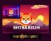 The Shiba Inu’s Shibarium To Contribute To SHIB Burn. SHIB Burns Gets More Supports