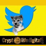 https://cryptolifedigital.com/wp-content/uploads/2023/01/Users-Can-Now-Track-Shiba-Inu-Easily-As-Twitter-Launches-A-Price-Graph-For-The-Asset.jpg