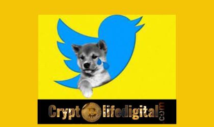 Users Can Now Track Shiba Inu Easily As Twitter Launches A Price Graph For The Asset