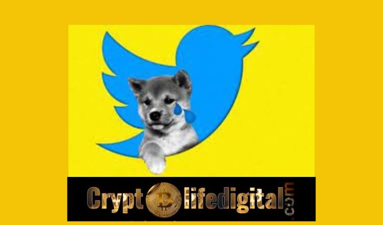 Users Can Now Track Shiba Inu Easily As Twitter Launches A Price Graph For The Asset