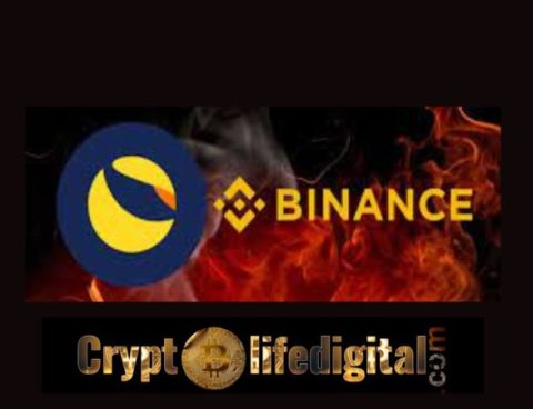 TerraCVita Promises To Meet The Demands Of Binance On LUNC Burns