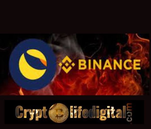 TerraCVita Promises To Meet The Demands Of Binance On LUNC Burns