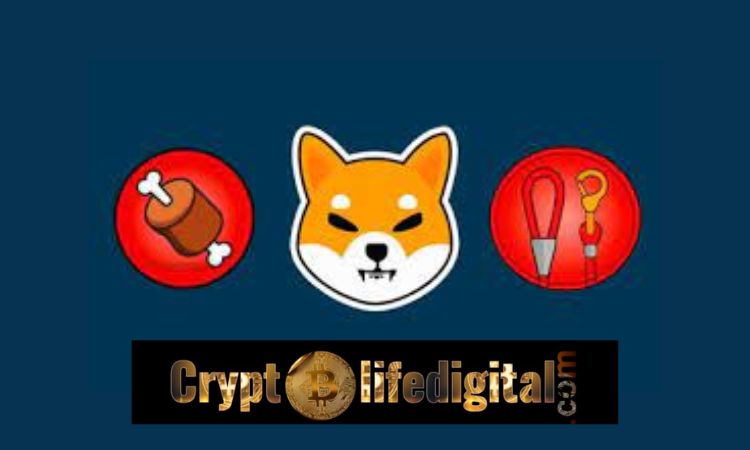 https://cryptolifedigital.com/wp-content/uploads/2023/02/Bone-Shibaswap-unique-Wallet-Addresses-Increases.jpg