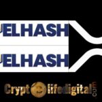 https://cryptolifedigital.com/wp-content/uploads/2023/02/Japanese-Crypto-Company-FUELHASH-Lists-XRP.jpg