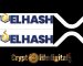 Japanese Crypto Company, FUELHASH, Lists XRP