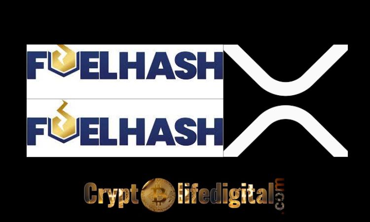 https://cryptolifedigital.com/wp-content/uploads/2023/02/Japanese-Crypto-Company-FUELHASH-Lists-XRP.jpg