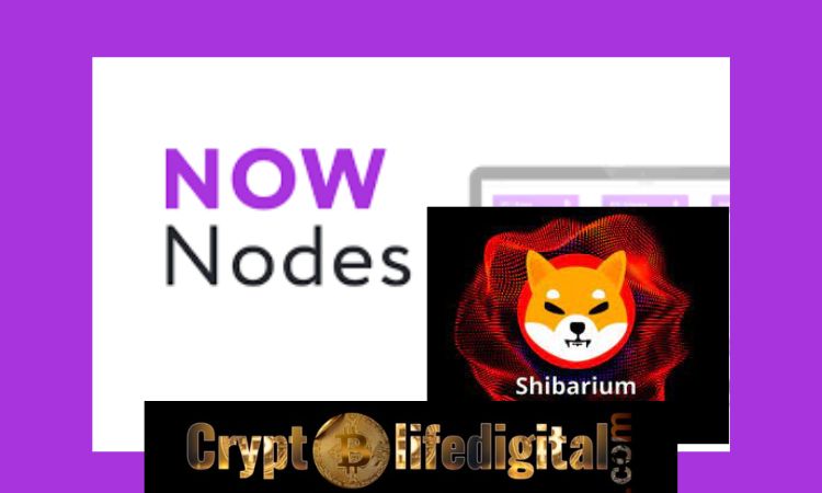 https://cryptolifedigital.com/wp-content/uploads/2023/02/NOWNodes-To-Offer-Shared-And-Dedicated-Access-To-the-Forthcoming-Shibarium-Blockchain.jpg