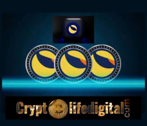 Rex Harrison Of TerraCVita Points Out Seven Risks Currently Facing The LUNC Blockchain. Check It Out