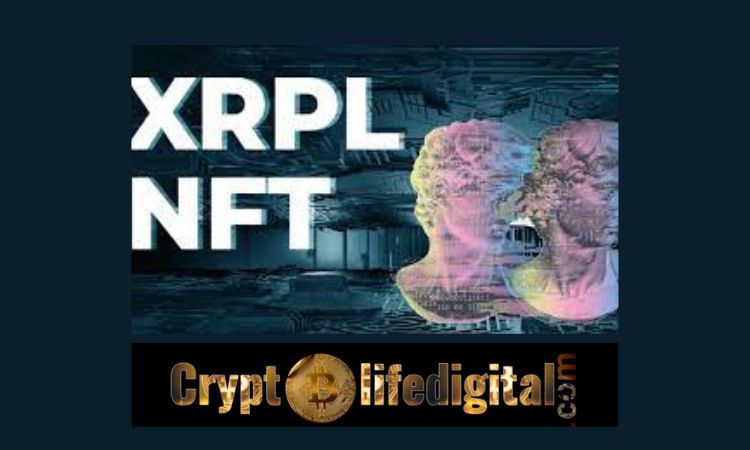 https://cryptolifedigital.com/wp-content/uploads/2023/02/Ripple-CTO-David-Schwartz-Gives-A-Nod-To-XRP-Ledger-based-NFT-Marketplace.jpg